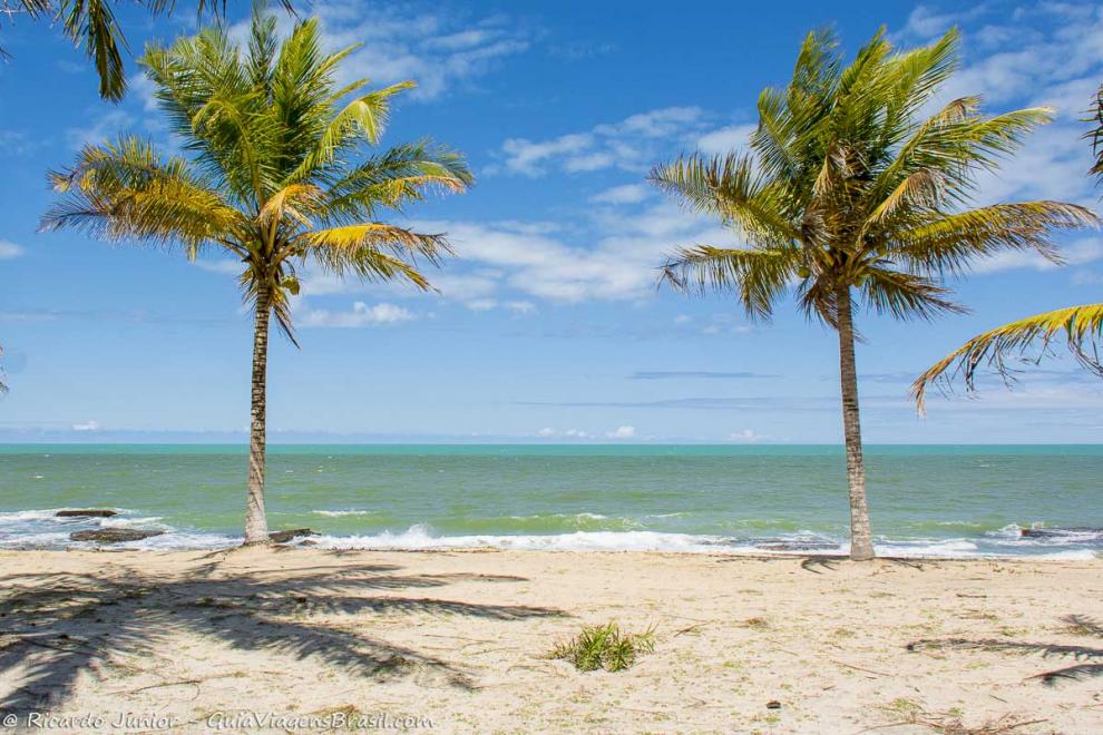 Imagem de dois coqueiros e ao fundo o mar azulado da Praia de Caraiva.